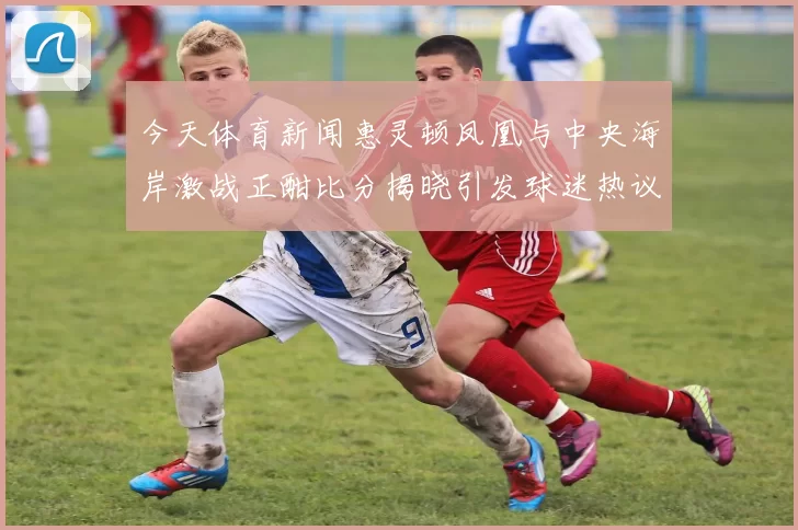 今天体育新闻惠灵顿凤凰与中央海岸激战正酣比分揭晓引发球迷热议