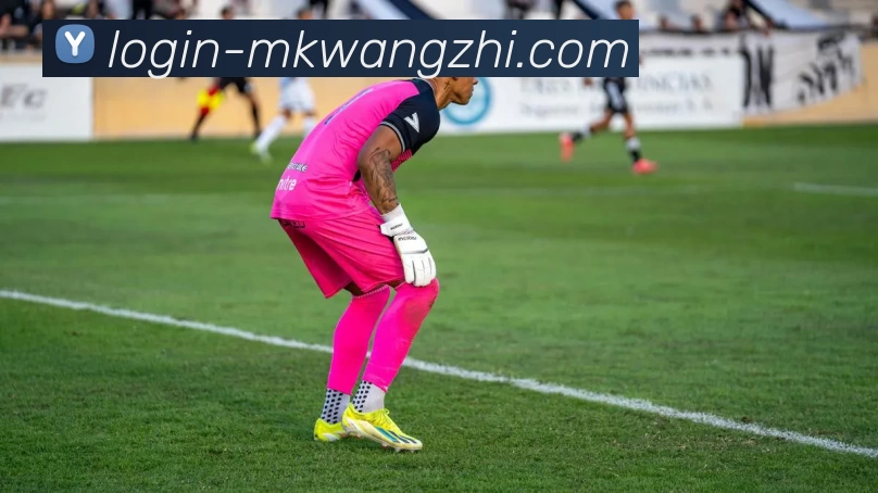 MK网址APP 体育赛事宣传图